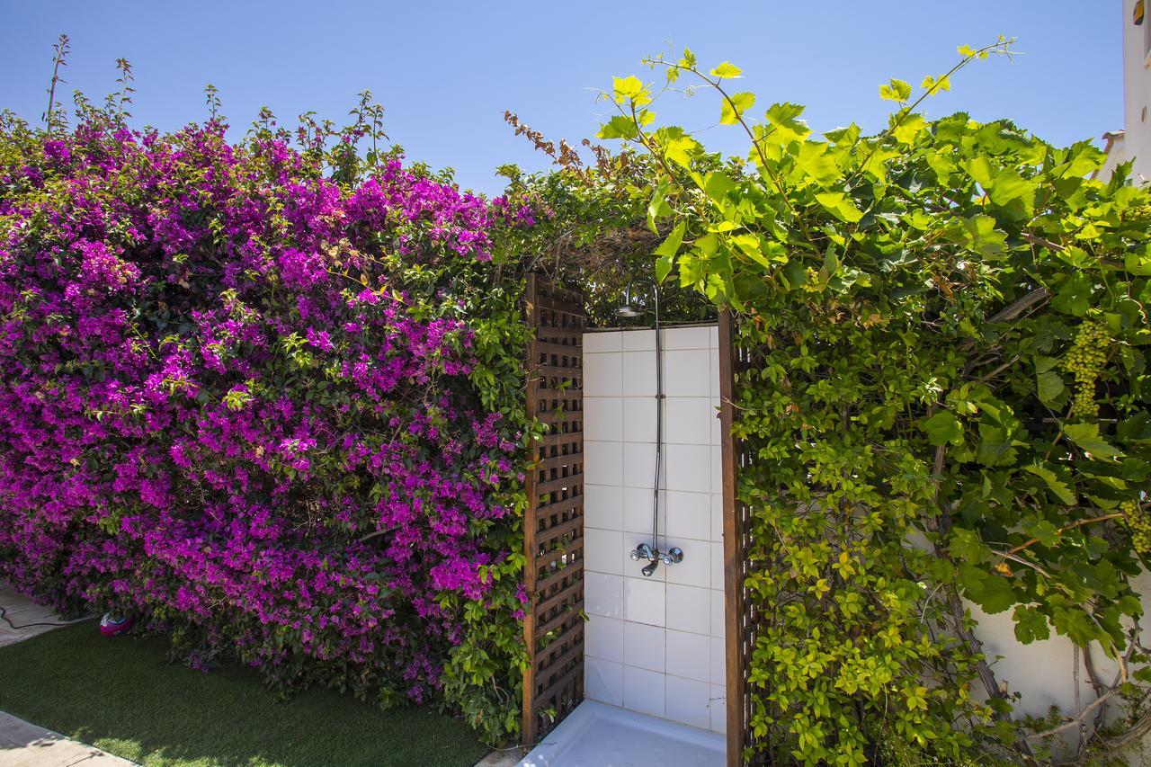 Villa Elias أيا نابا المظهر الخارجي الصورة